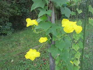 IMG_4608.jpg