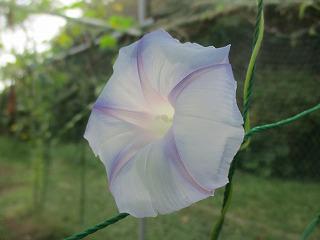 IMG_4605.jpg