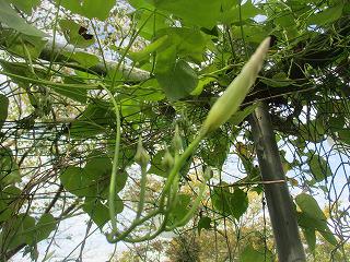 IMG_4611.jpg