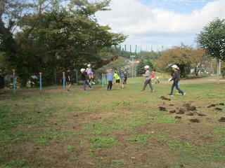 IMG_4623.jpg