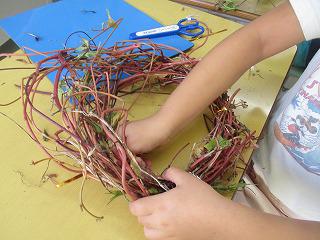 IMG_4674.jpg