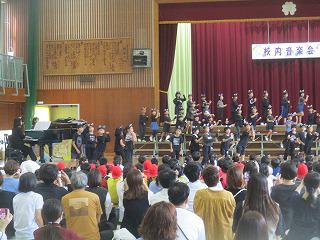 IMG_4182.jpg