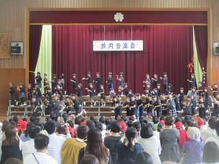 IMG_4187.jpg
