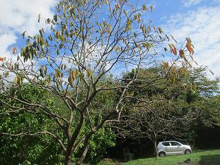 IMG_4692.jpg