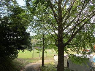 IMG_4697.jpg