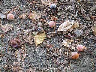 IMG_4699.jpg