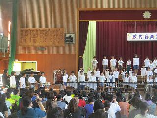IMG_4254.jpg