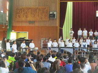 IMG_4262.jpg