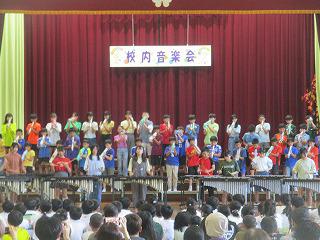IMG_4393.jpg