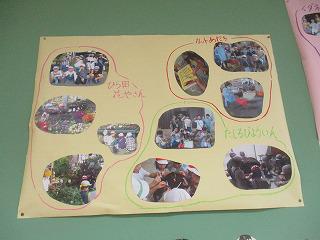 IMG_4480.jpg