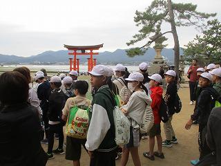 IMG_4968.jpg
