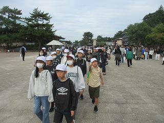 IMG_4965.jpg