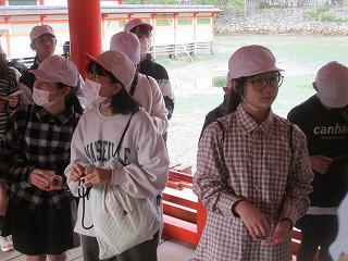 IMG_4970.jpg