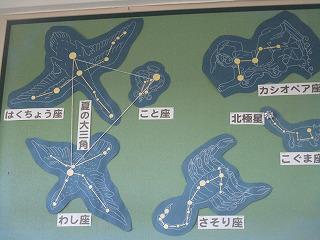 IMG_8999.jpg