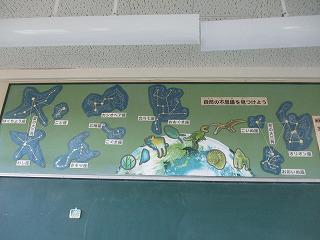 IMG_8998.jpg