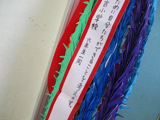 IMG_4870.jpg