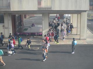IMG_4973.jpg
