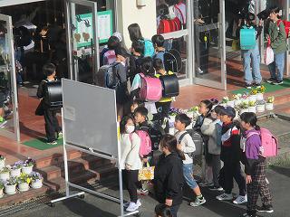 IMG_4974.jpg