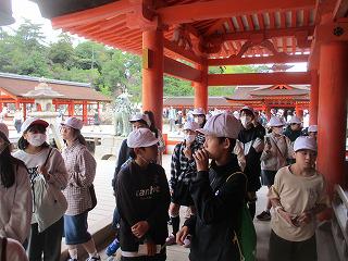 IMG_4972.jpg