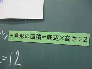 IMG_5123.jpg