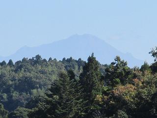 IMG_5268.jpg