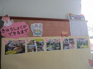 IMG_5251.jpg