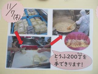 IMG_5255.jpg