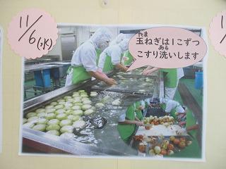 IMG_5254.jpg