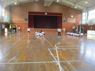 IMG_5231.jpg