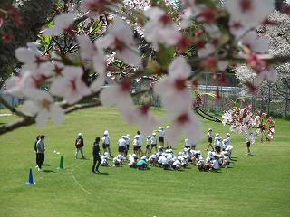 IMG_5285.jpg