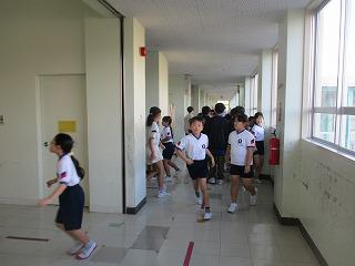 IMG_5309.jpg
