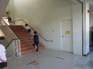 IMG_5308.jpg