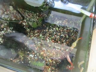 IMG_5927.jpg