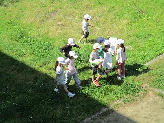IMG_6026.jpg