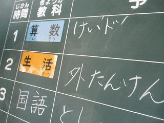 IMG_6037.jpg