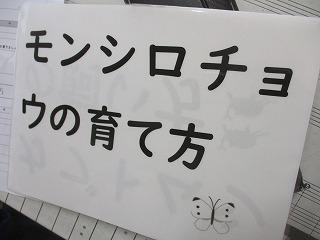 IMG_6076.jpg
