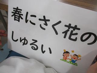 IMG_6077.jpg