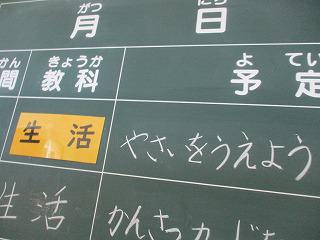 IMG_6143.jpg
