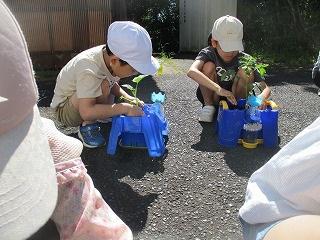IMG_6153.jpg