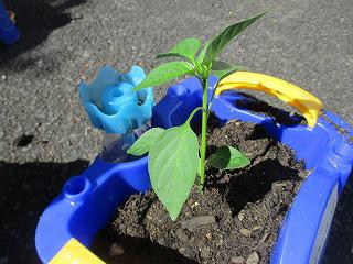 IMG_6156.jpg