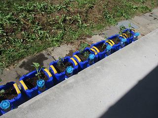 IMG_6157.jpg