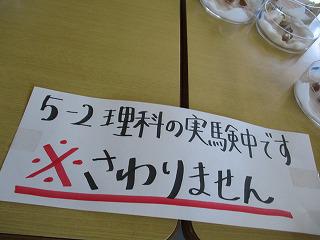 IMG_6162.jpg