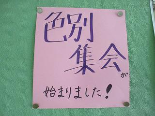 IMG_6328.jpg