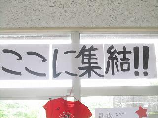 IMG_6516.jpg