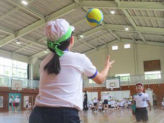 IMG_6581.jpg