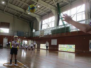 IMG_6582.jpg