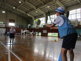 IMG_6593.jpg