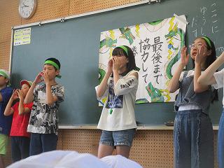 IMG_6684.jpg