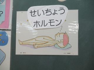 IMG_5387.jpg