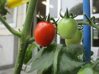 IMG_9592.jpg